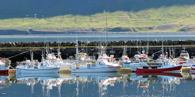 iceland harbor