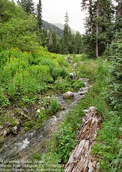 lake williams trail