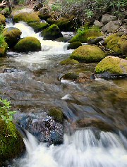 tule river